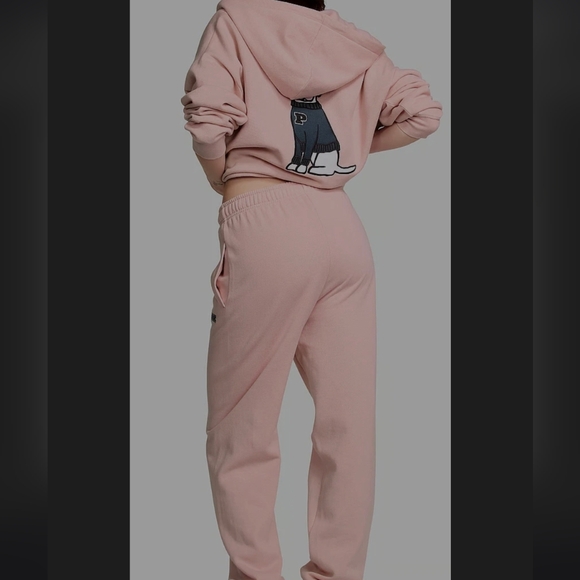 PINK Victoria's Secret Dog Graphic Hoodie and Sweatpants - Picture 15 of 16
